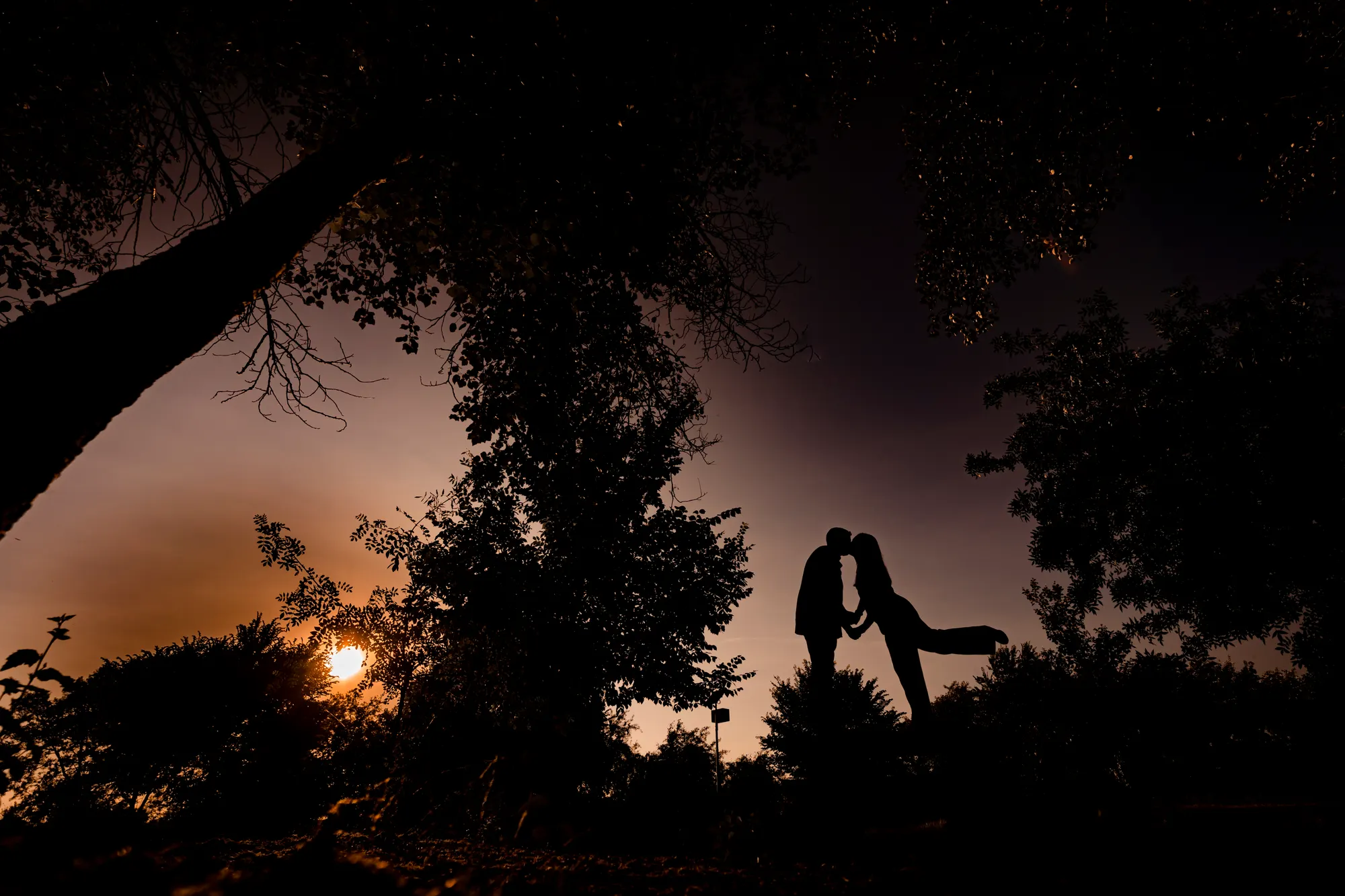 Silueta de la pareja entre árboles al atardecer